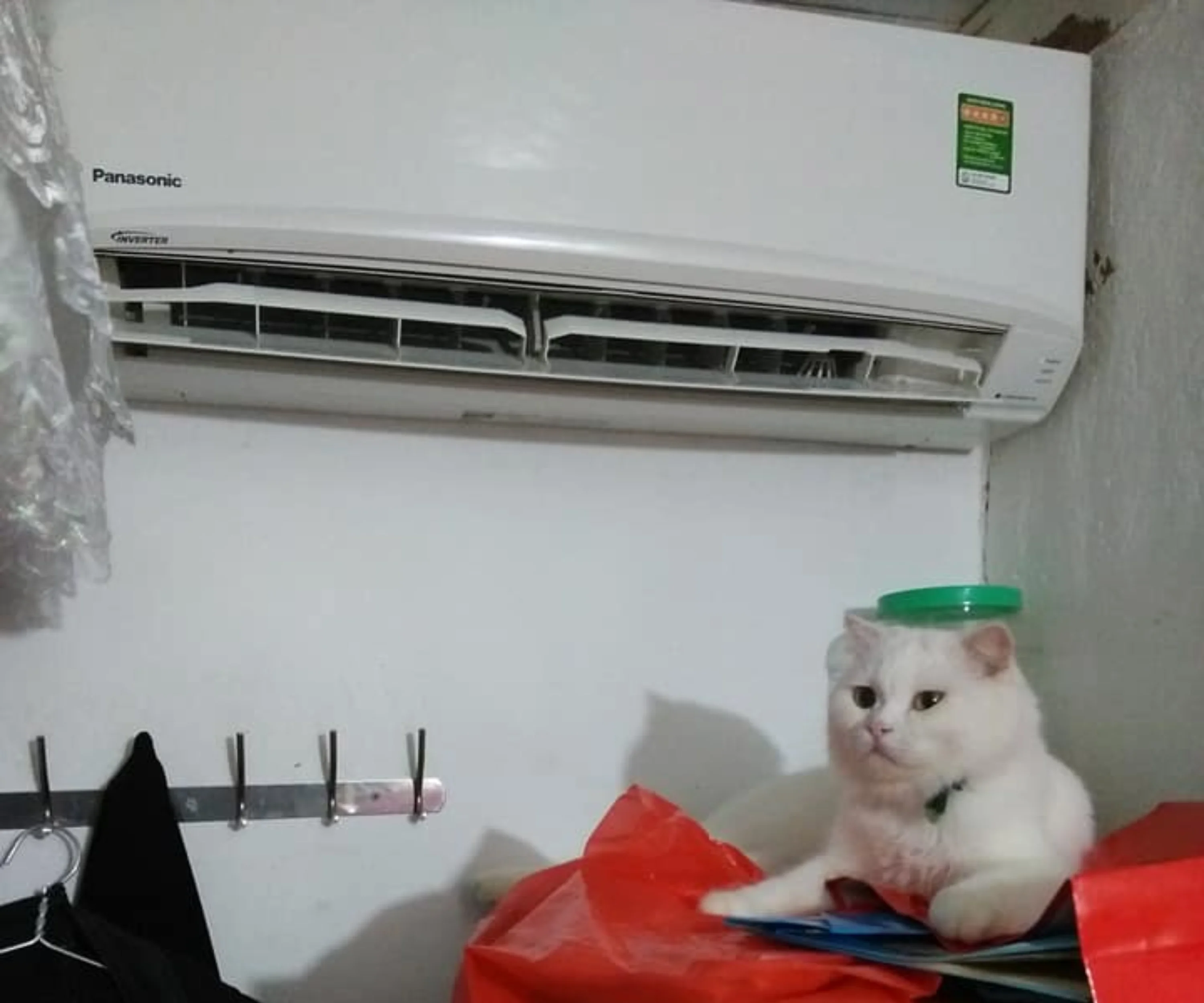 Thiết kế chưa có tên (9).webp